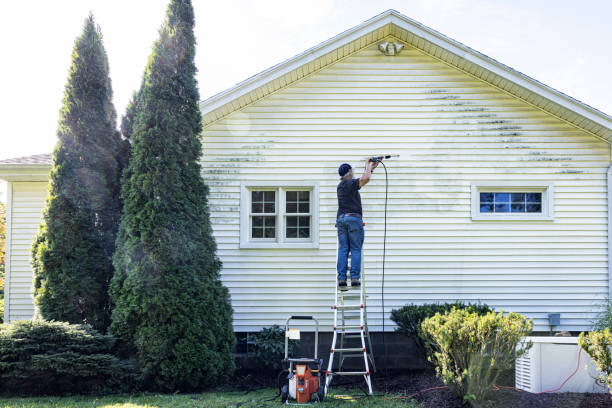 Best House Pressure Washing  in Shokan, NY