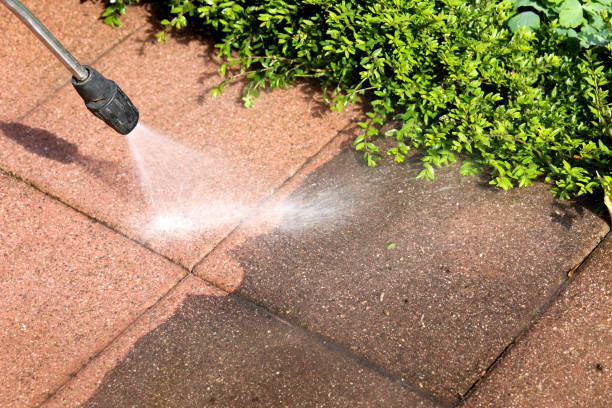 Best Power Washing Near Me  in Shokan, NY