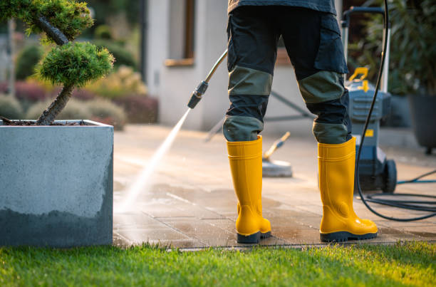 Best Best Pressure Washing Companies  in Shokan, NY